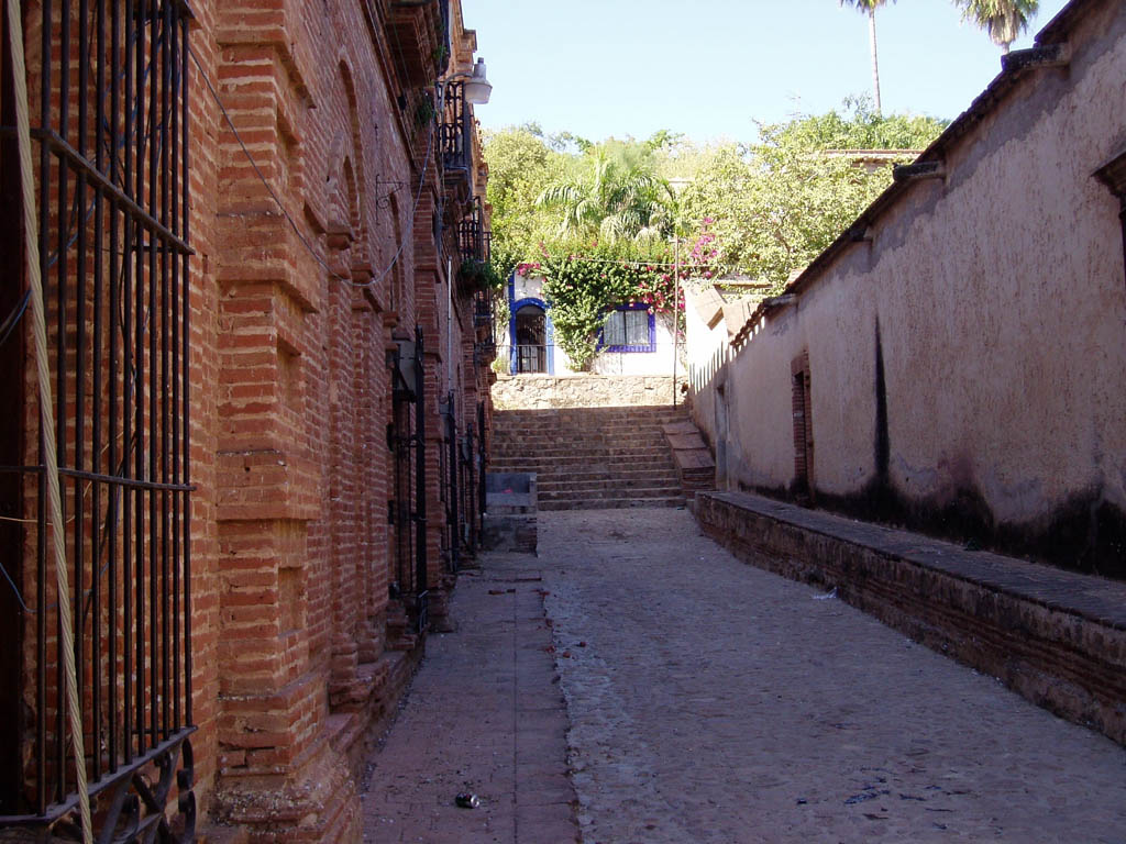Day 4 - Alamos